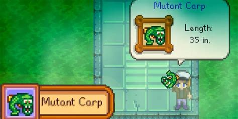 mutated carp stardew