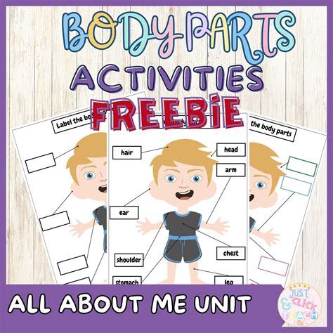 my body a fun way to find out all the facts about your body PDF