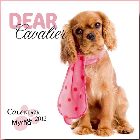my dear cavalier by myrna multilingual edition PDF