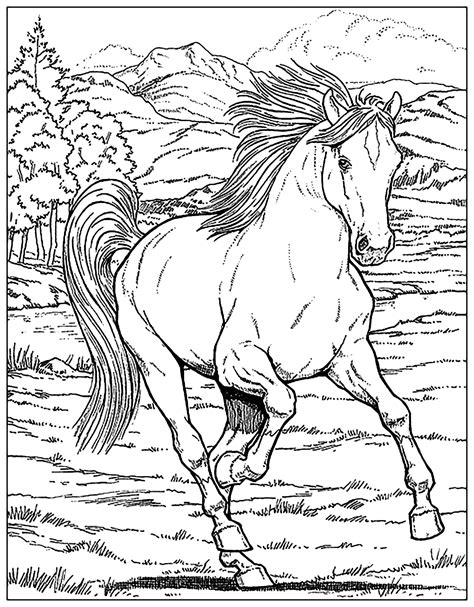 my horse coloring book Kindle Editon