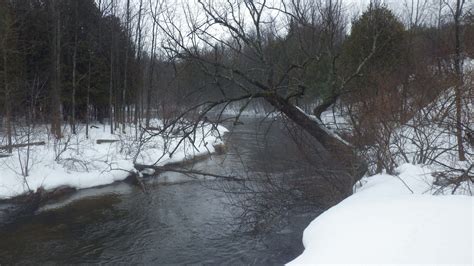 my life on the beautiful betsie river memories of karlin and the betsie river Doc