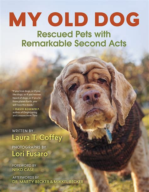 my old dog rescued pets with remarkable second acts Epub