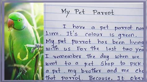 my pet parrot essay Doc