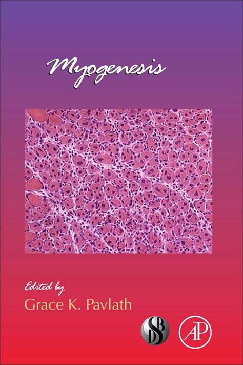 myogenesis volume 96 current topics in developmental biology PDF