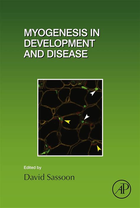 myogenesis volume 96 current topics in developmental biology PDF