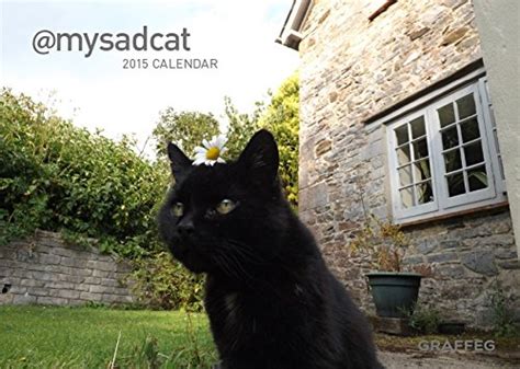 mysadcat 2015 calendar Reader