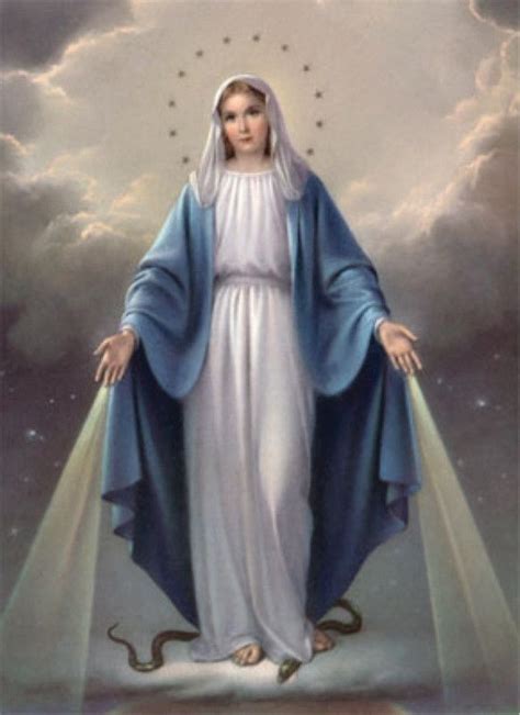 mysteries of the virgin mary living our ladys graces Reader