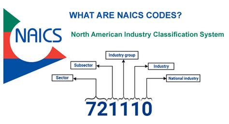 naic code insurance