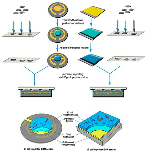 nanotechnology enabled sensors nanotechnology enabled sensors Doc