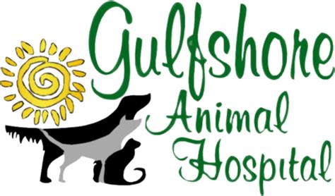 naples fl animal hospital