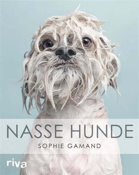 nasse hunde 2016 sophie gamand Doc