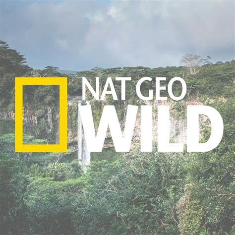 nat geo wild tv schedule