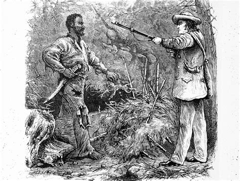nat turner a slave rebellion in history and memory Epub