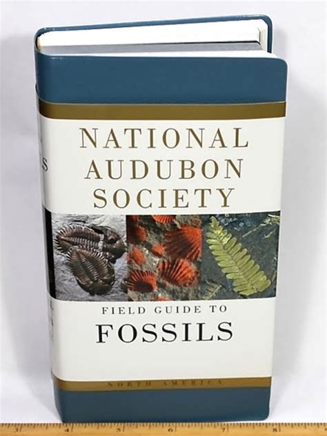 national audubon society field guide to north american fossils Doc
