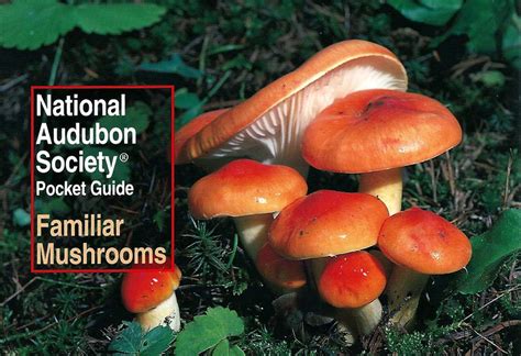 national audubon society pocket guide to familiar mushrooms Doc