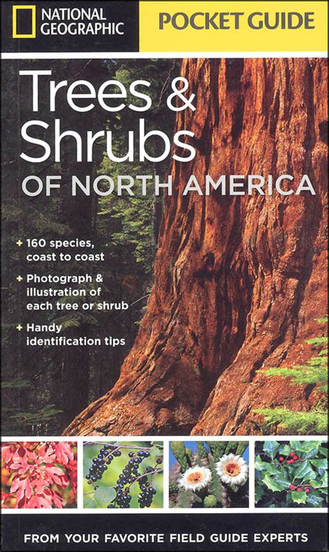 national geographic field guide to trees of north america Reader