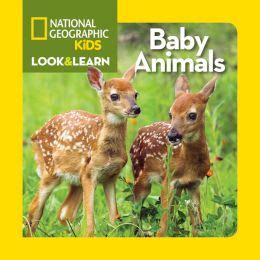 national geographic kids look and learn baby animals look and learn PDF