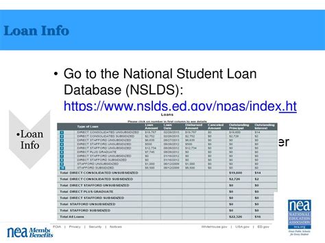 national student loan database loan details overview showing balances and servicers