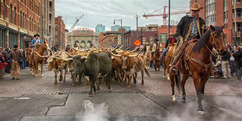 national western stock show denver colorado