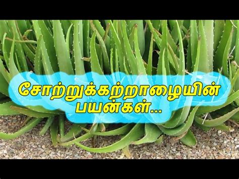 nattu maruthuvam tamil language Reader