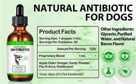 natural antibiotics for dogs