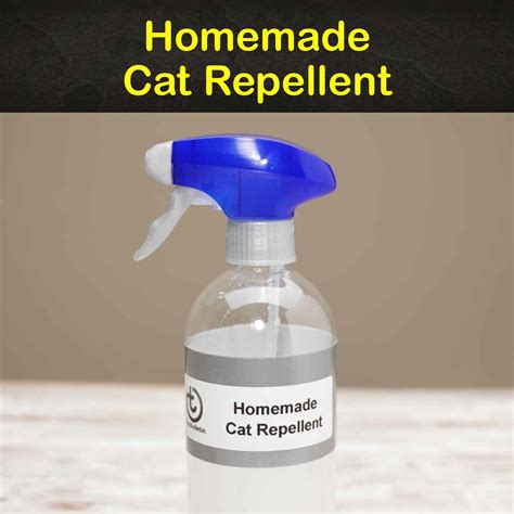 natural cat repellent