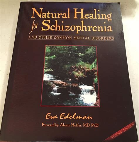 natural healing for schizophrenia and other common mental disorders Reader