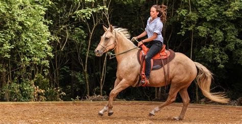 natural horsemanship partnerschaft faszinierende monatskalender Doc