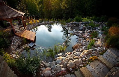natural swimming pools a guide for building Kindle Editon