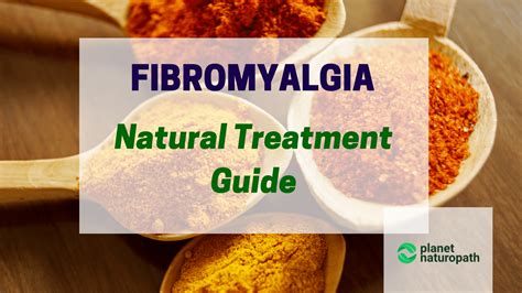 natural treatments for fibromyalgia an a to z guide Kindle Editon