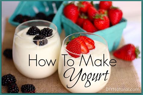 natural yogurt how to make homemade Reader