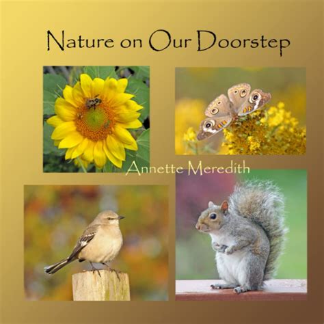 nature our doorstep annette meredith Kindle Editon