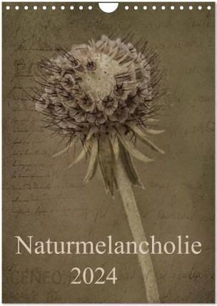 naturmelancholie 2016 wandkalender hoch unvergleichlich Doc