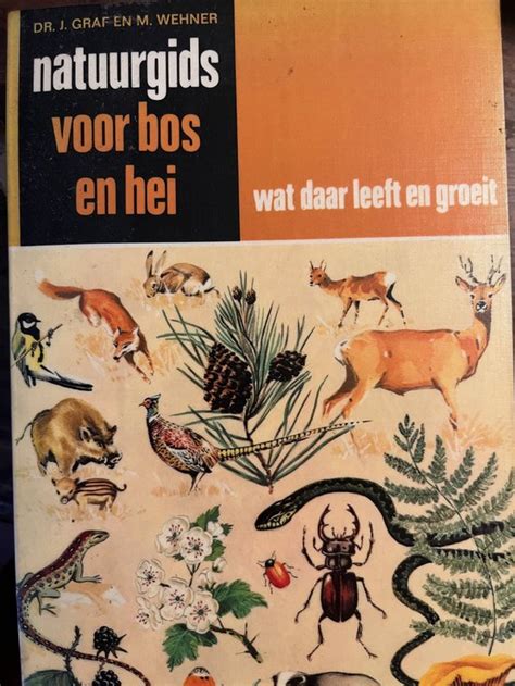 natuurgids voor bos en hei Epub