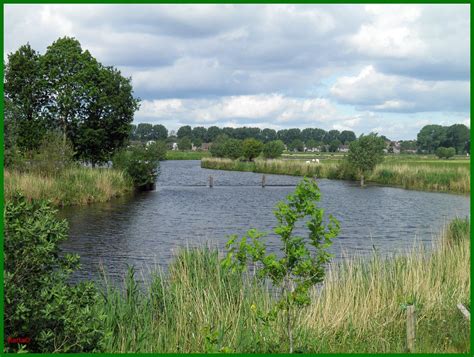 natuurlijk nederland PDF