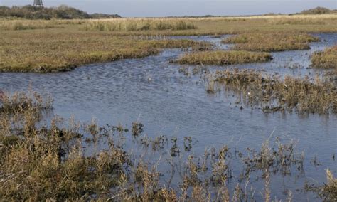 natuurmonumenten van nederland deel i Kindle Editon