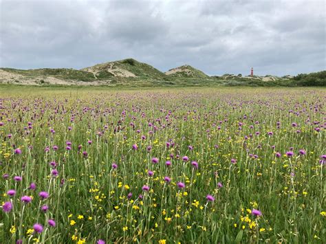 natuurpaden schiermonnikoog PDF