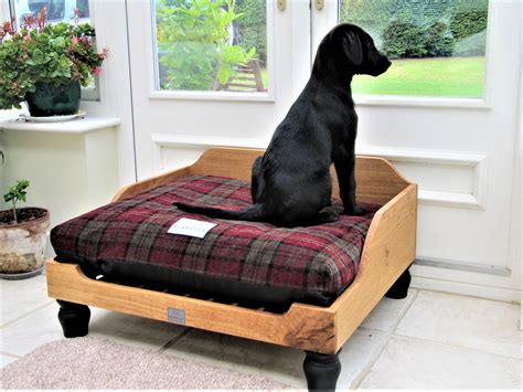 naughty dog bed