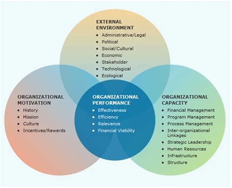 needs assessment for organizational success PDF