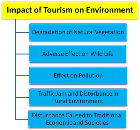 negative environmental impacts tourism industry Reader