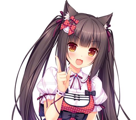 nekopara chocola