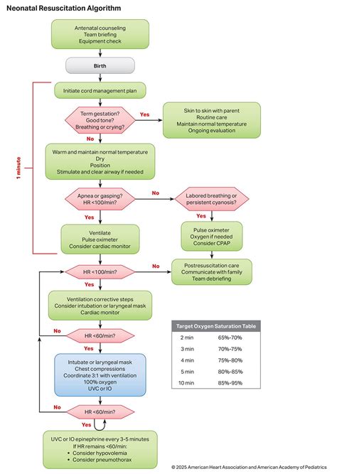 neonatal resuscitation guidelines 2013 PDF