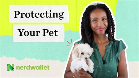 nerdwallet pet insurance