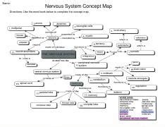 nervous system concept map answers biology corner PDF