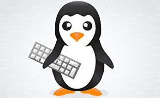 netacad-linux-essentials-exam-answers Ebook Epub