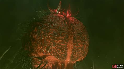 Netherbrain Fight Walkthrough