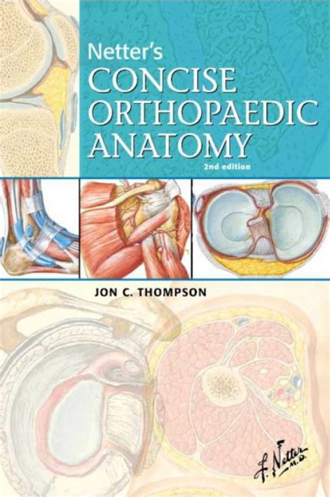 netters concise orthopaedic anatomy 2e netter basic science Doc