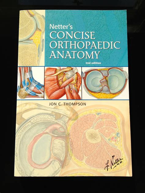 netters concise orthopaedic anatomy 2e netter basic science Doc