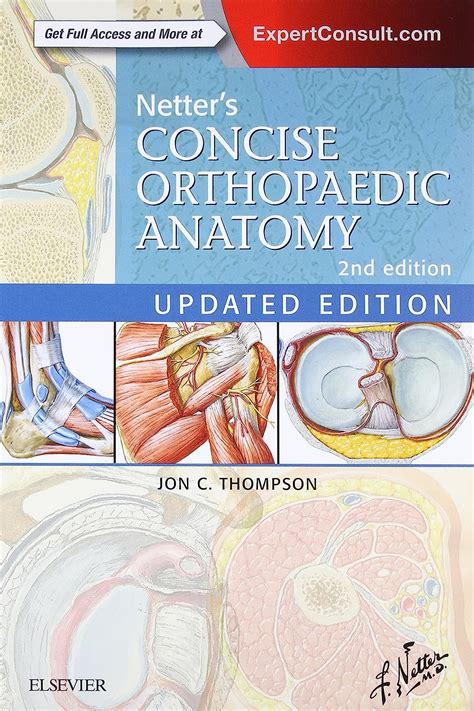 netters concise orthopaedic anatomy updated Reader