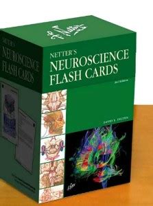 netters neuroscience flash cards 2e netter basic science PDF